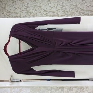 Vera Wang Size 2 Maxi Plum Coloredndress